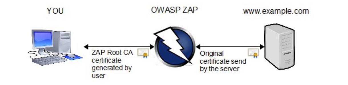 owasp root certificate authority